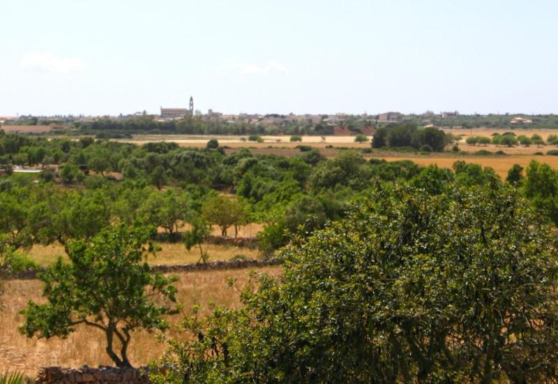 فيلا Llombartsفي Son Fumat المظهر الخارجي الصورة